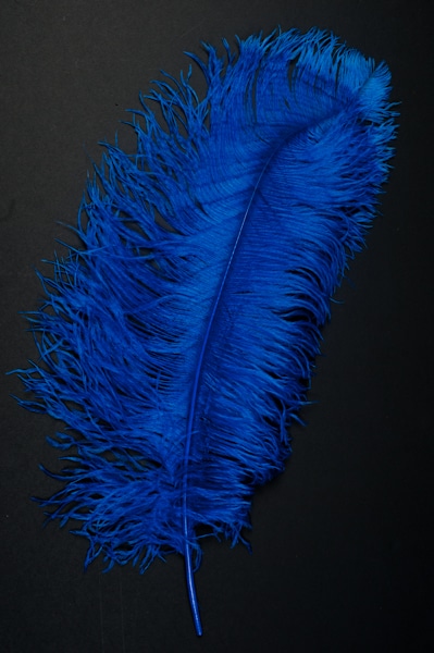 Piume Di Struzzo Naturali 40-45 Cm, Morbide E Colorate, Per Decorazioni, Matrimoni, Acchiappasogni E Artigianato (Scegli Colore E Quantità)